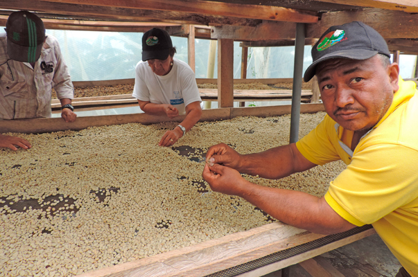Emprendedor transforma desechos de café en fertilizantes