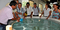 El SENA desarrolla proyecto para fortalecer sector piscícola