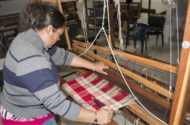 Con apoyo SENA campesinas rescatan producción de lana