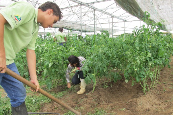 A Chile viajaron aprendices para capacitarse en Agro