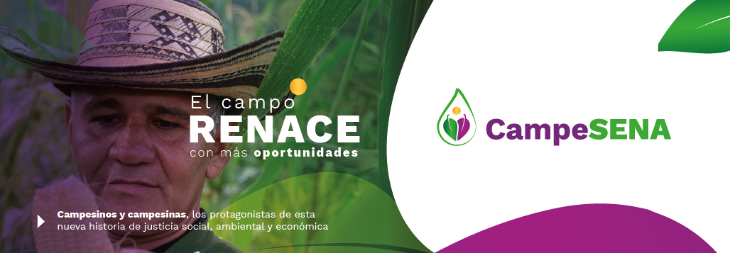 El Campo renace