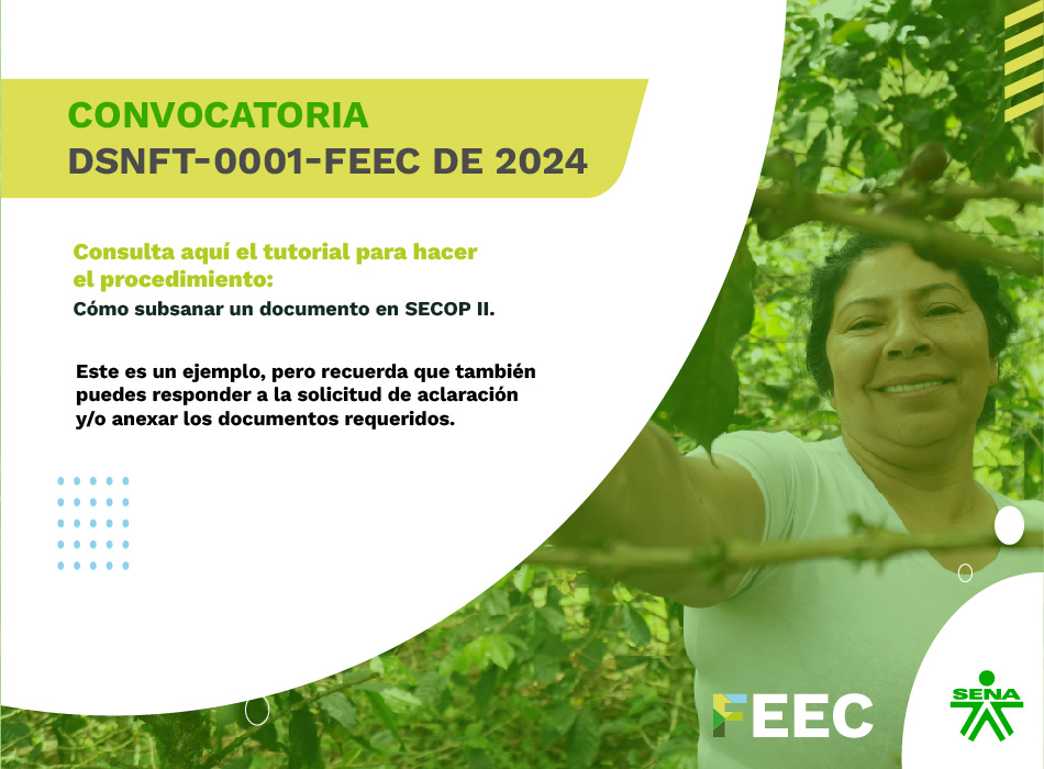 E-card FEEC subsanación.jpg