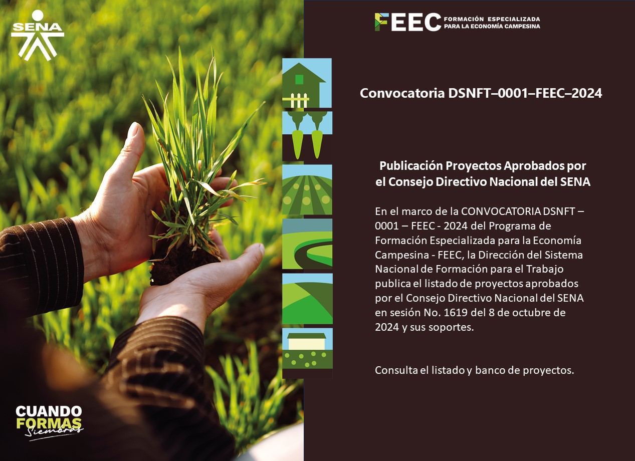 E-card proyectos seleccionados.jpg