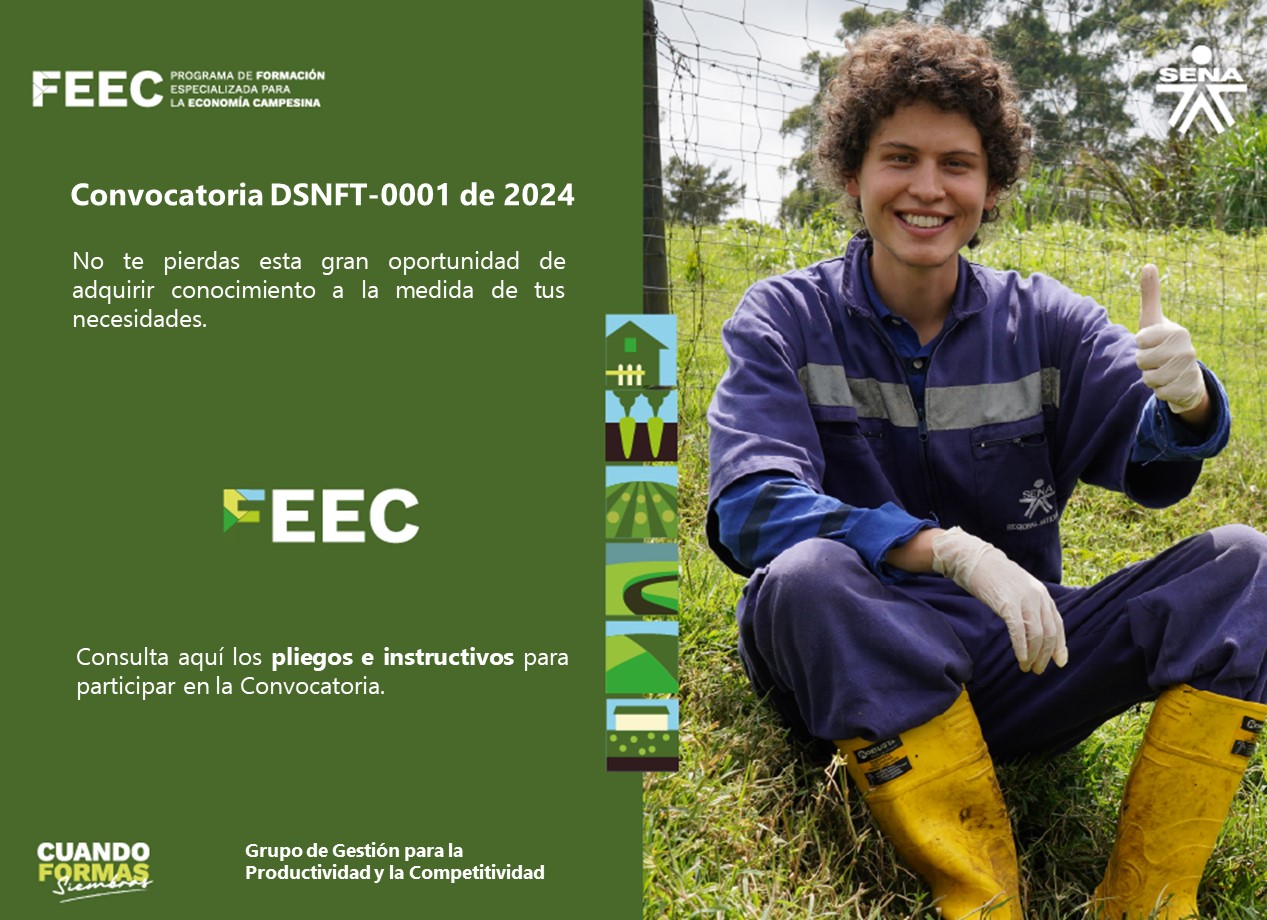 Ecard-Consulta pliegos convocatoria definitiva.jpg