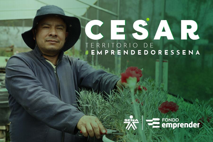 Anuncio de nueva convocatoria del Fondo Emprender para Cesar  
