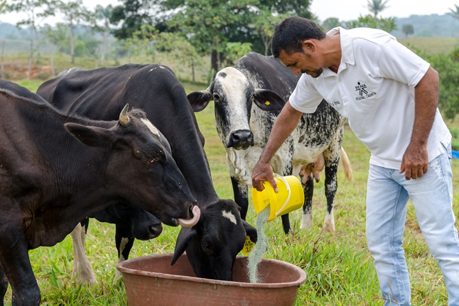 0303 CAQUETÁ EMPRENDEDOR FERTILIZACIÓN LA ISLA MONTAÑITA-3956-231225.jpg