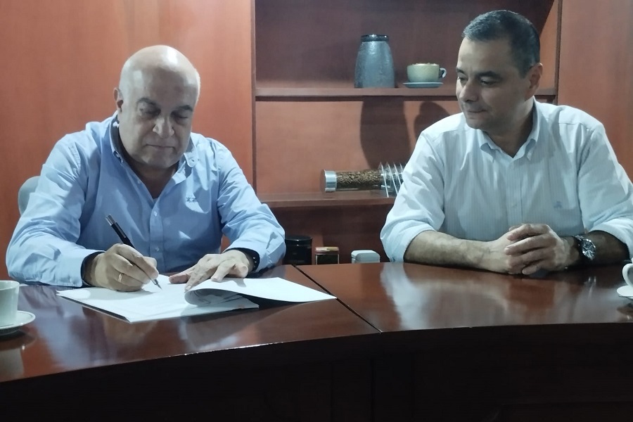 Más de 50 mil hectáreas de suelo vallecaucano se dedican al cultivo del café, lo que se constituye en el segundo reglón agrícola