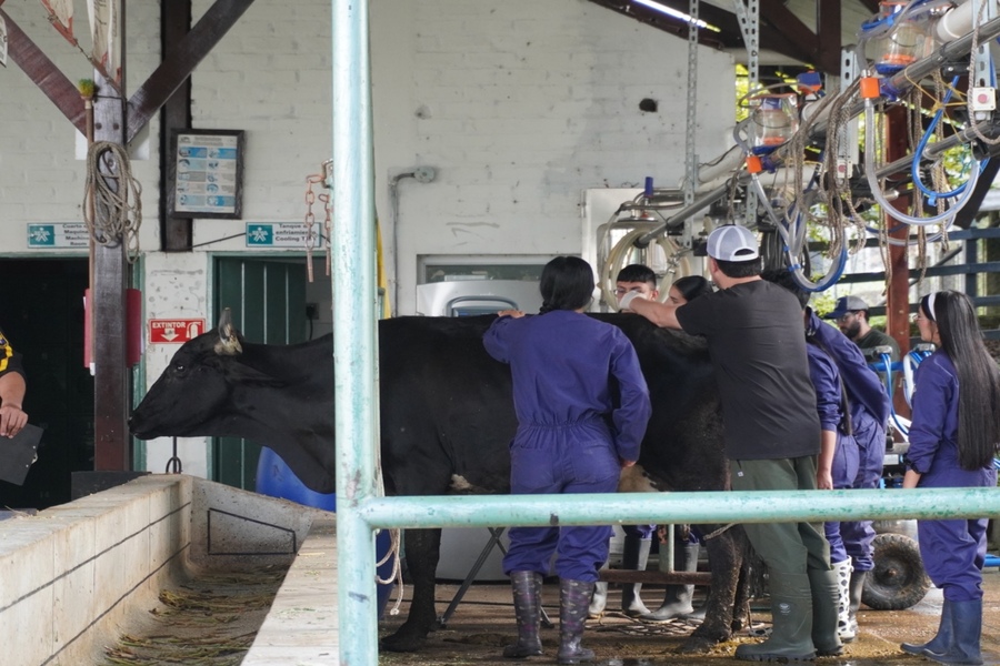 Aprendices en formación sobre inseminación Foto 1-11226.jpeg