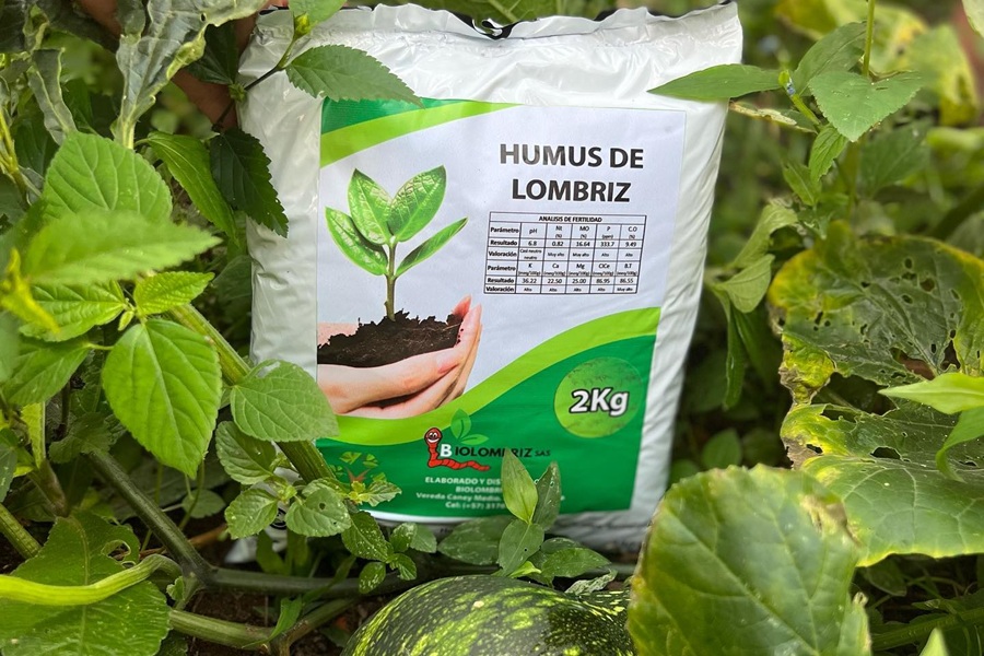 Bio Lombriz-26426.jpg