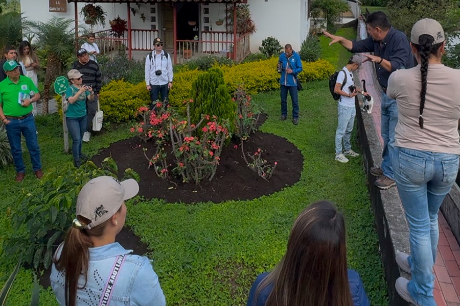 Cultura y tradición cafetera, baluarte del turismo en Caldas. 