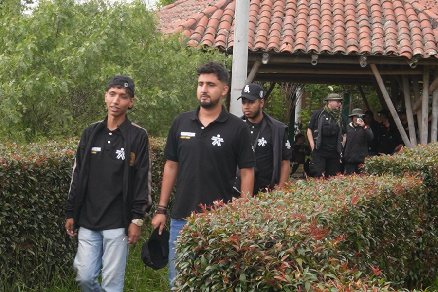 Campecine 01-21225.png