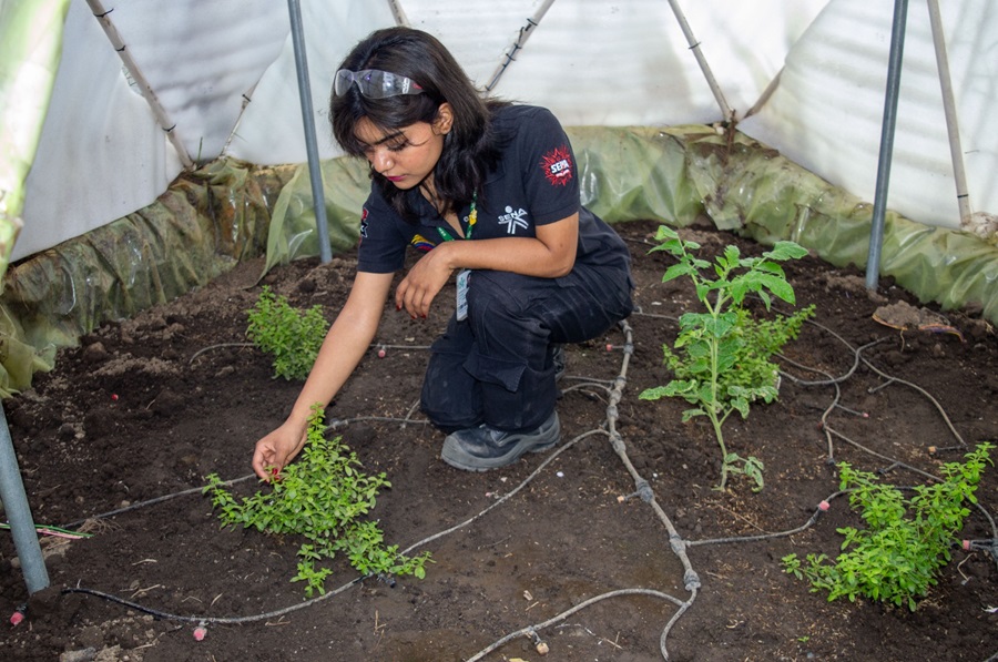 Impacto educativo y empresarial 