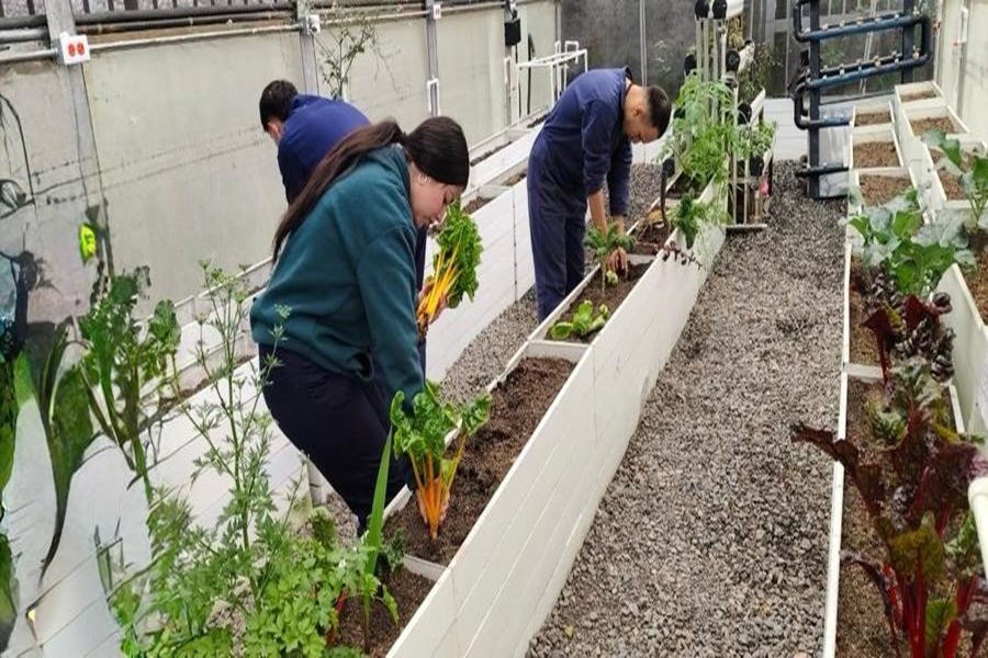 Foto 1 BP DC Del invernadero urbano a las veredas-261225.jpeg