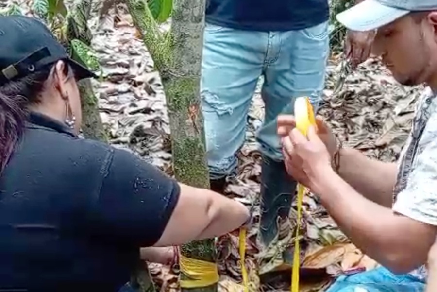 Foto 1 BP MET CampeSENA impulsa la producción cacaoatera.jpeg