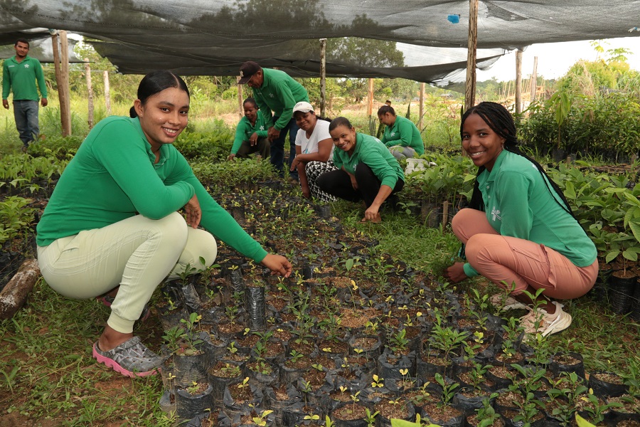 Aprendices del programa Técnico en Manejo de Viveros cuidan con esmero las plántulas del proyecto 'Coloreando a Colombia', en la