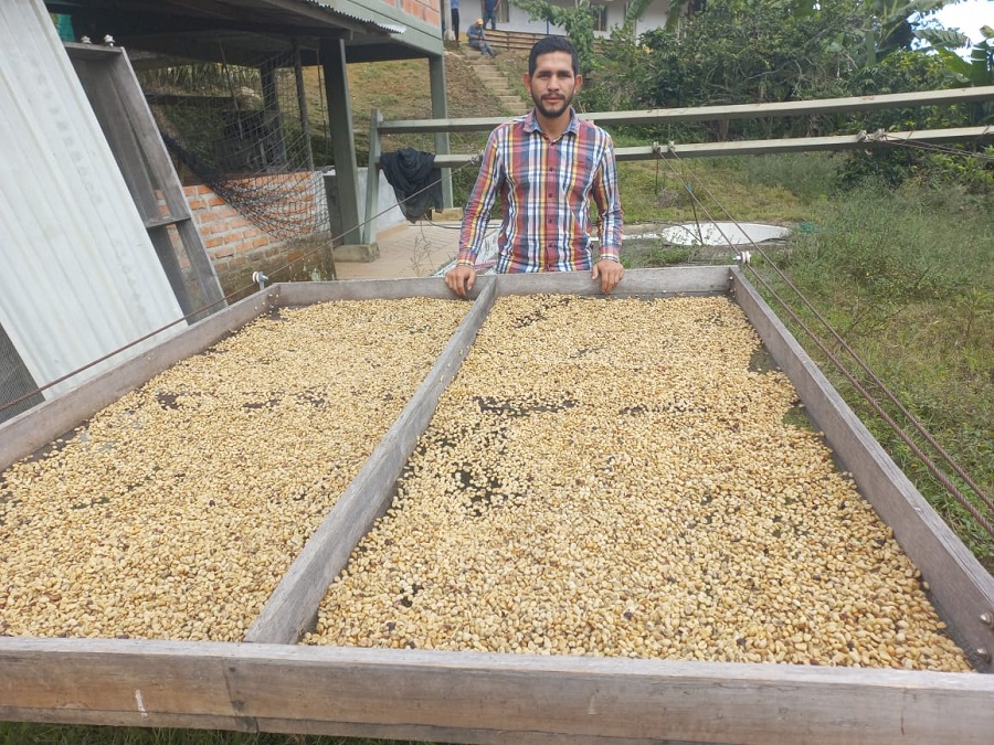El café que se produce en La Gabarra (Tibú) es el principal insumo de ‘Café Tierra del Faro’ 