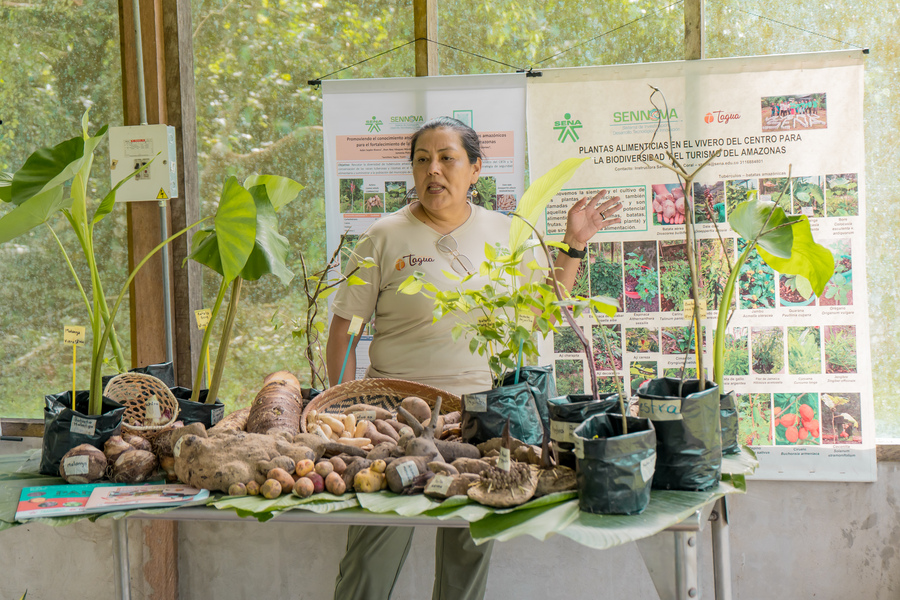 Foto BP AM Saber ancestral y tecnología se unen en evento sobre tubérculos amazónicos, en Letici