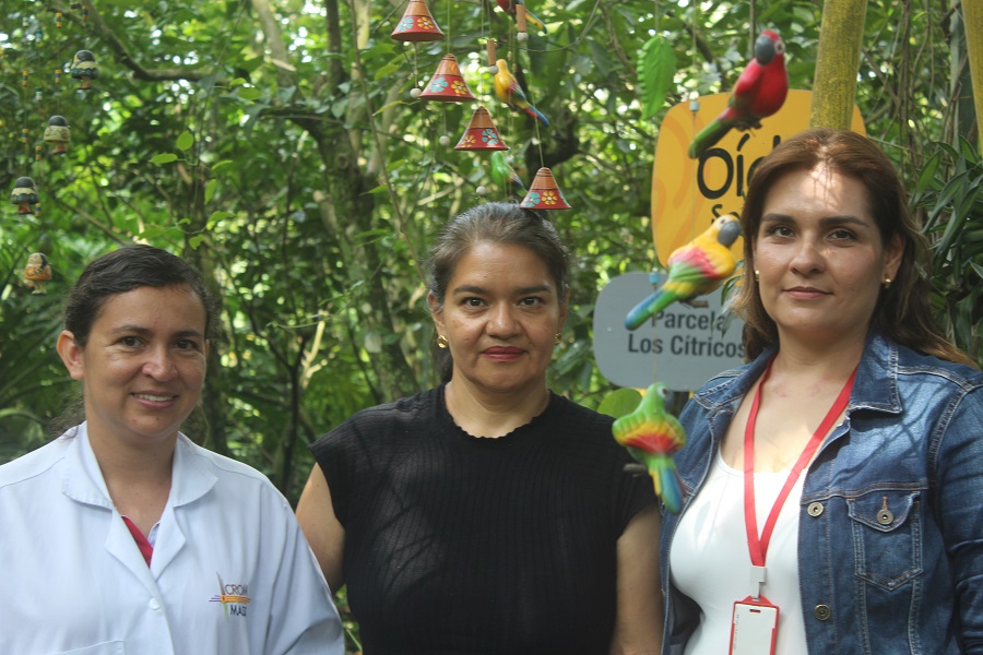 Foto BP CAU Proyecto Coca para la Paz del SENA Cauca avanza-31025.JPG