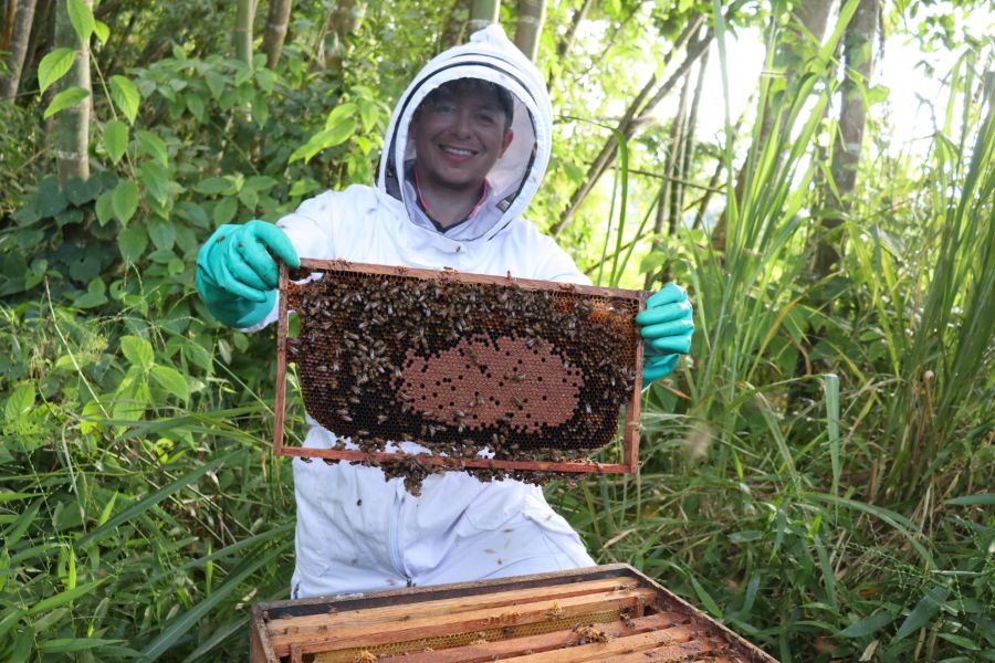 Foto BP HU Apifit, emprendimiento huilense que impulsa la apicultura sostenible-291025.JPG