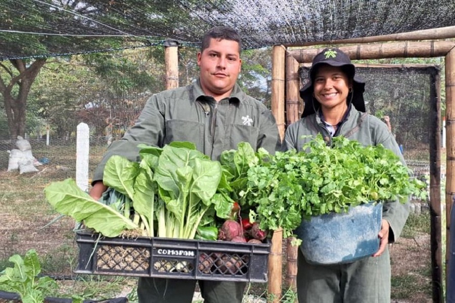 Foto BP HU Aprendices del SENA promueven la agricultura ecológica en Huila-291025.JPG