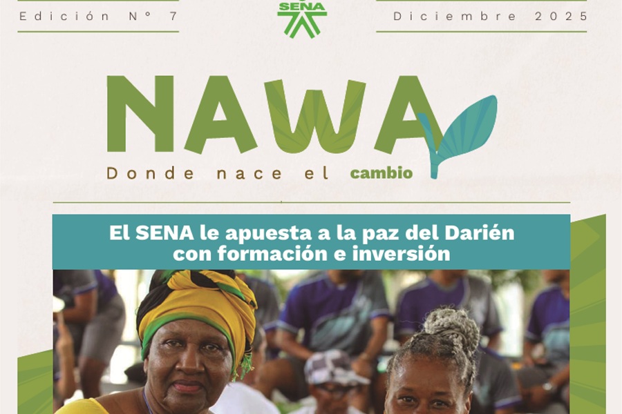 NAWA 7_Mesa de trabajo 1-31225.jpg