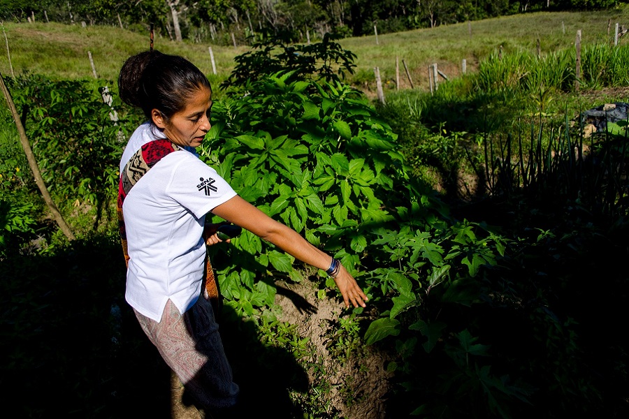 Esta es una gran oportunidad para certificar saberes empíricos en labores que favorecen al medio ambiente.  