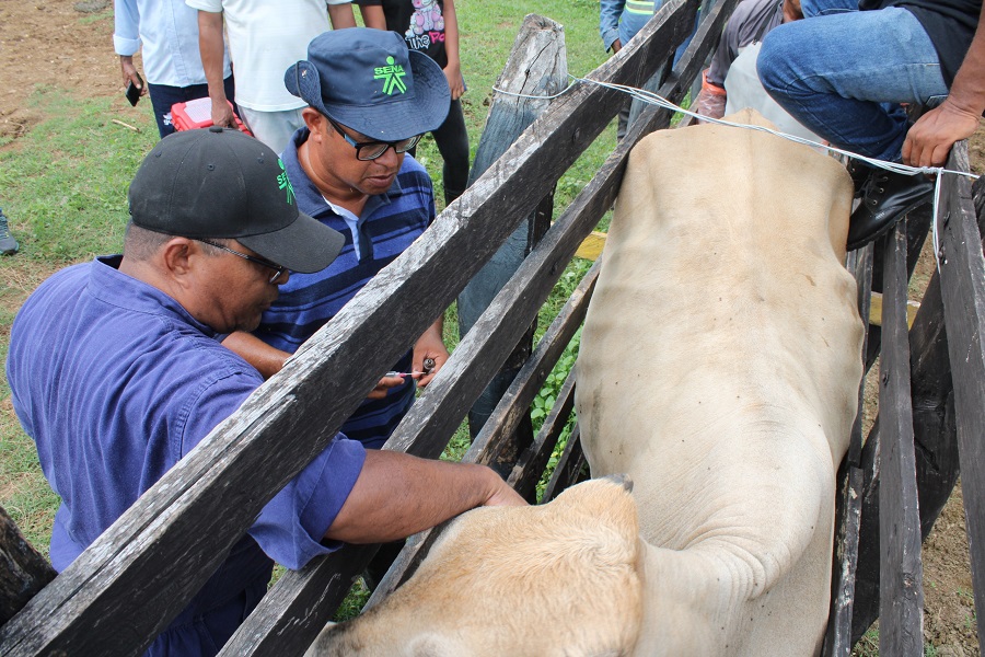 “Es fundamental incentivar estos programas, ya que una de las principales debilidades en la producción ganadera, porcina y avíco