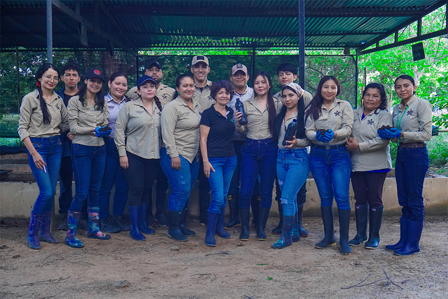 Aprendices del SENA fortalecen sus conocimientos en la producción de abonos orgánicos.