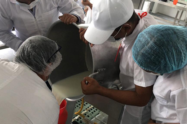 El Caquetá es conocido como el emporio ganadero de Colombia 