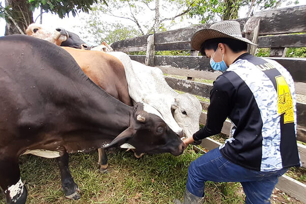 En sus viviendas y parcelas los aprendices desarrollan cada una de las fases del cultivo de maíz