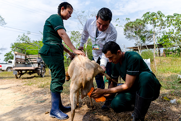 Instructores pecuarios fortalecen sus conocimientos