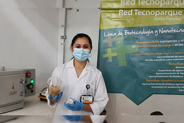 Aprovechamiento de la cascarilla de arroz en materiales de construcción