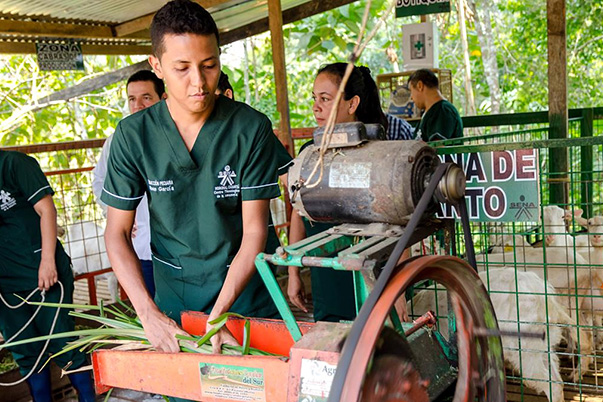 El SENA ya cuenta con su oferta de programas AGRO para el 2019