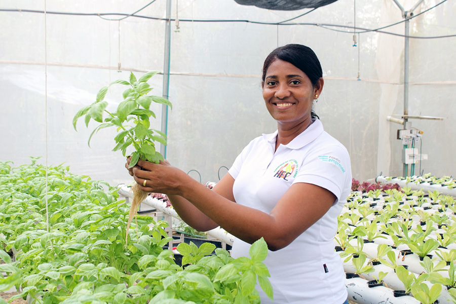 El emprendimiento cuenta con un sistema tecnificado: los trabajadores no deben permanecer allí de tiempo completo.