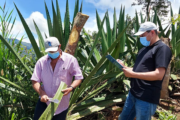 La Evaluación y Certificación de Competencias Laborales del SENA es gratuito, no requiere intermediarios.