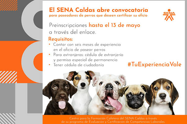 Participar de un proceso de certificación de competencias laborales es totalmente gratuito y no requiere intermediarios. 