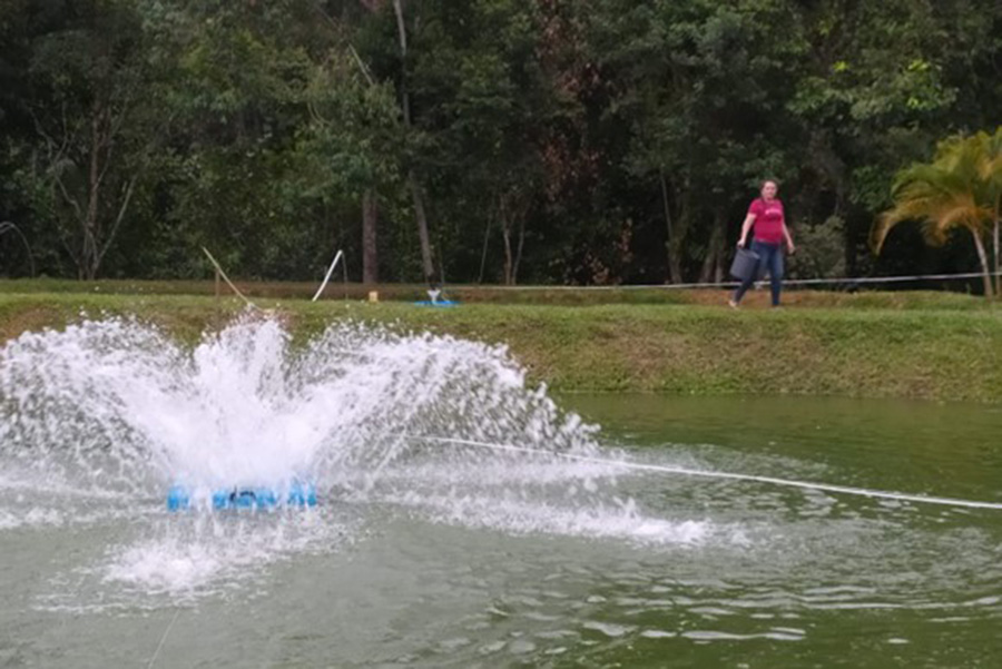 Son 14.500 peces los que cuida Anadid Salamanca, quien vive pendiente del funcionamiento de los aireadores que generan oxígeno a