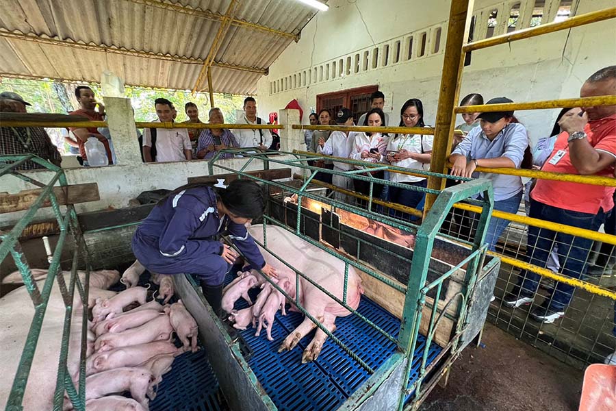 El trabajo y dedicación del grupo de trabajo ha permitido el crecimiento de esta unidad productiva.