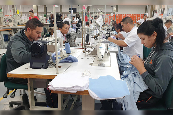 Excombatientes facilitan su tránsito a la vida civil, con formación pertinente