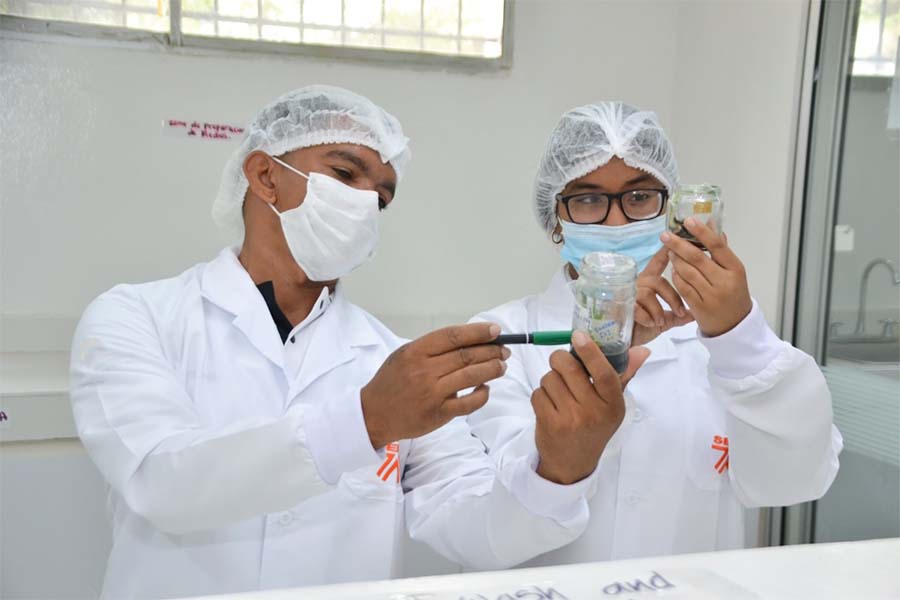 Imagen sobre la nueva alianza del SENA para la formación agrícola de los aprendices