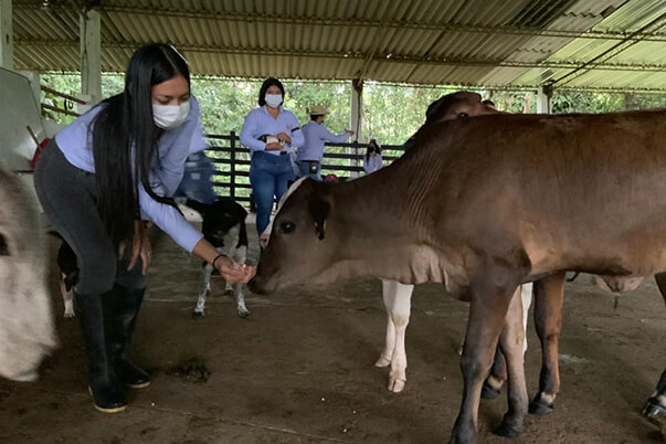 La modalidad de alternancia establecida en la circular 035 del 4 de marzo del presente año