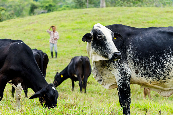 Familia SENA unida para mitigar los riesgos del Fenómeno del Niño