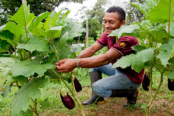 Aún quedan cupos para estudiar gratis un programa de educación superior en el SENA