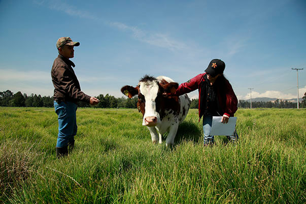dentro del proceso investigativo se encuentran aprendices de los programas pecuarios
