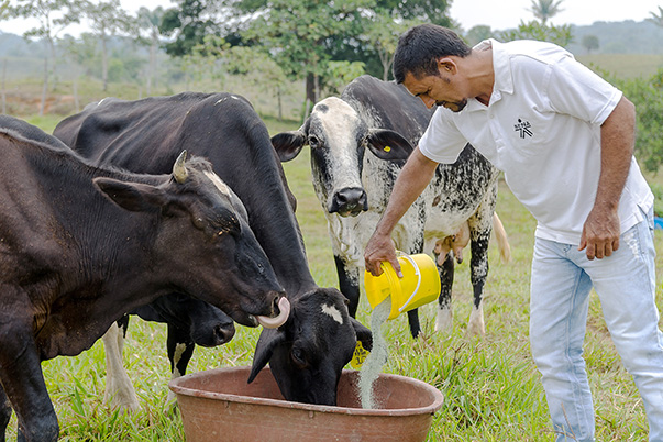 SENA ha destinado $20 mil millones para creación de empresas agropecuarias 