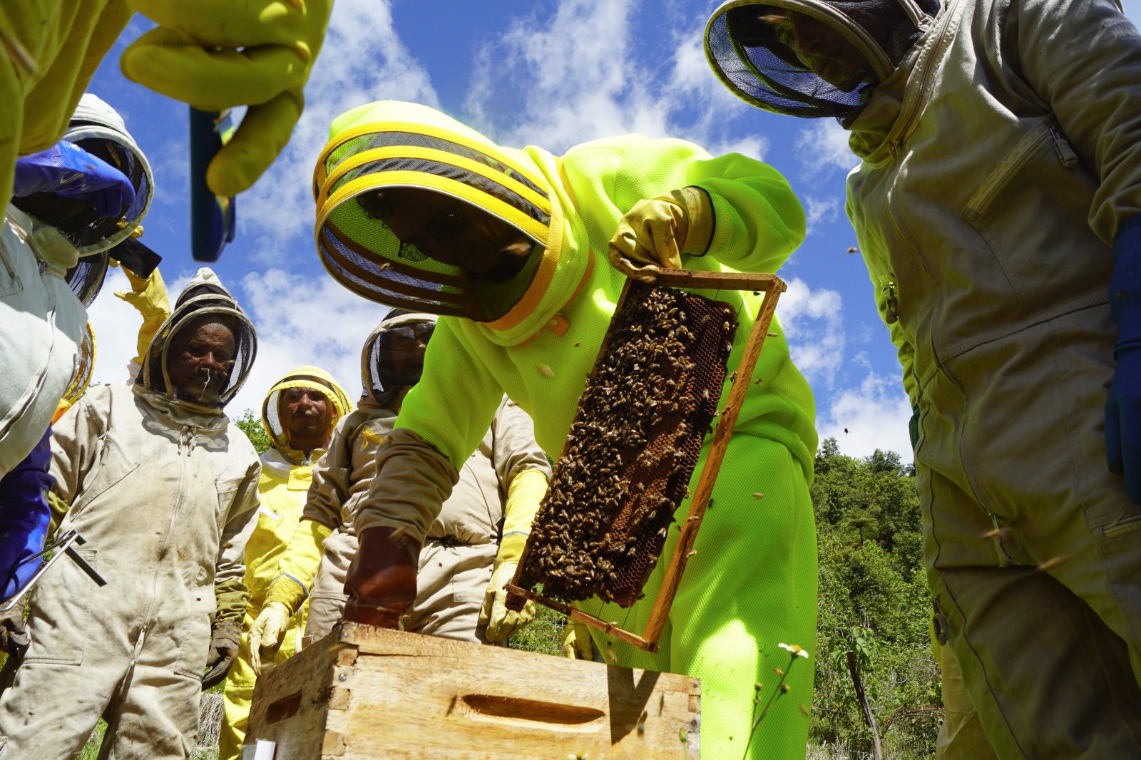 Con este tipo de espacios, se busca fortalecer el sector apícola en el Huila, a través de las buenas prácticas y la productivida