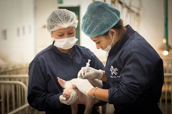 Aprendices e instructores participan en Encuentro Internacional de Investigación