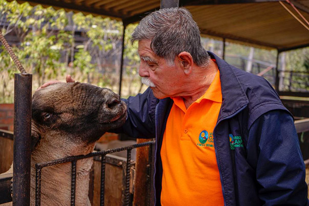 SENA lanza el libro ‘Creer y Emprender’: un aporte de la entidad al emprendimiento colombiano