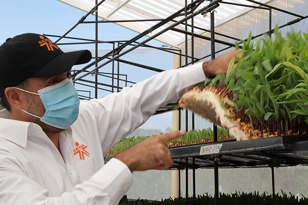 Con la implementación de este sistema a tope, se lograría la alimentación de 100 ovinos aproximadamente. 