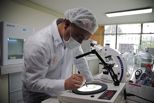 Microalgas para vivir en Marte